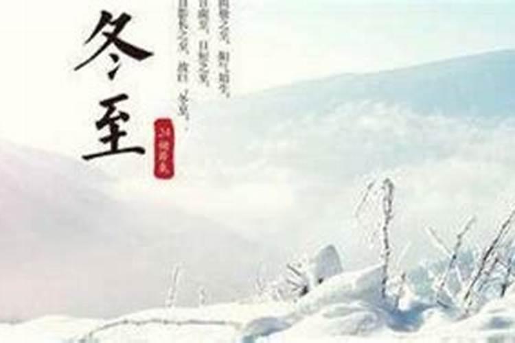 1987年属兔2025年的运势及运程如何