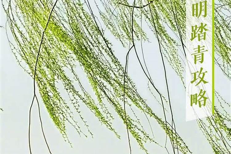 清明节有什么风俗和什么忌讳