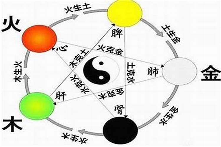 怎样看自己属金,木,水,火还是土