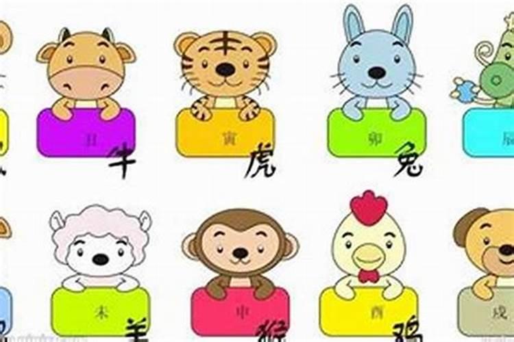 怎么解读八字排盘？