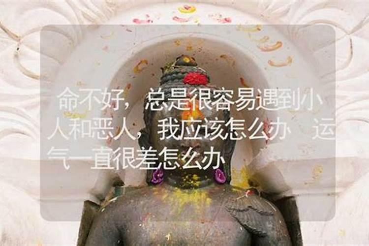 2025年86年属虎女运势怎么样？