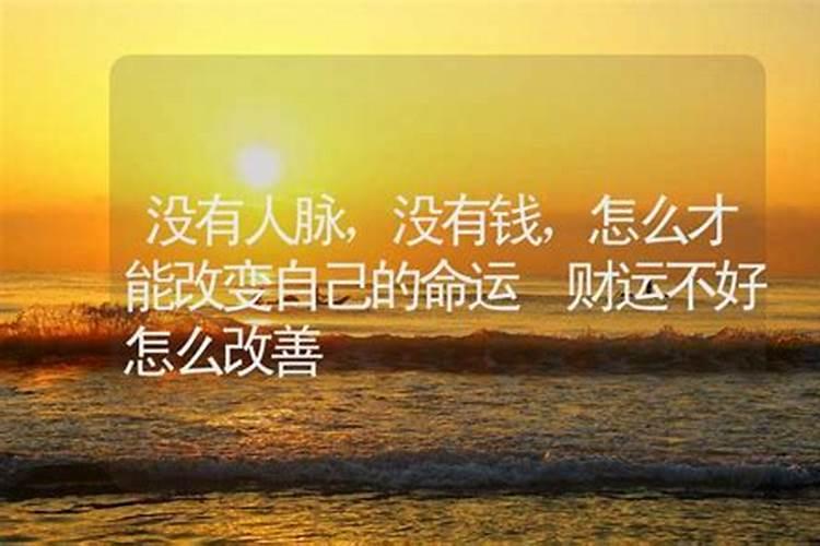 24年属狗的总体运程每月运势讲解
