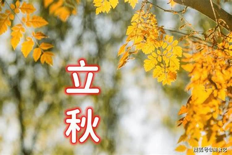 梦见小猫有什么预兆 梦见小猫有什么寓意