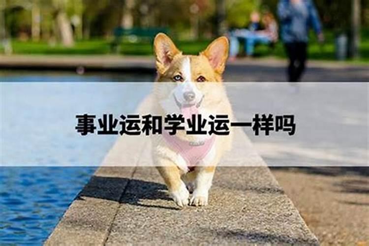 看墓地需要子孙的生辰八字吗