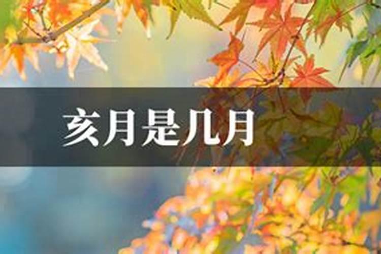 子丑寅卯辰巳午未申酉戌亥分别为几月