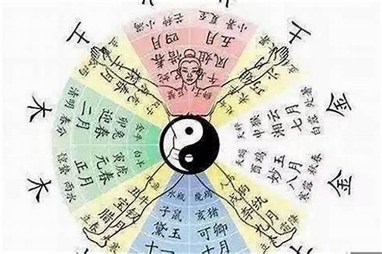 如何学排八字