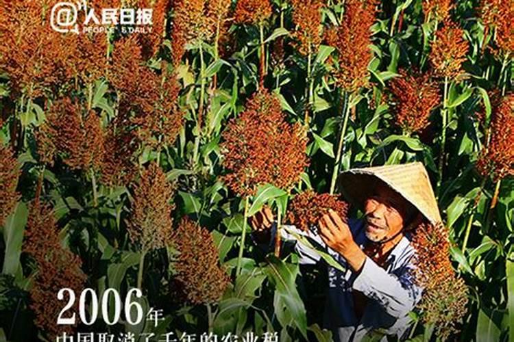 农历三月十五可以动土吗