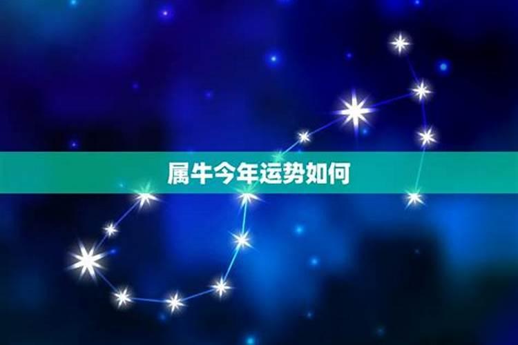 中秋节主题的活动方案