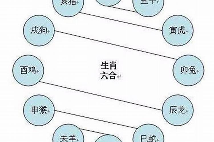 属相相克会克死对方吗 相克生肖结婚结局会怎样呢？