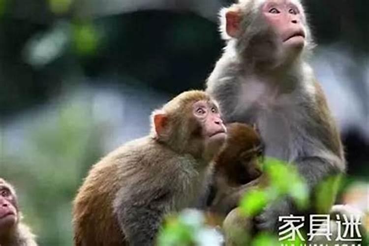 2025年腊月二十二适合干嘛