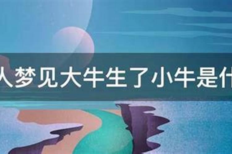 2025年犯双太岁的属相是什么