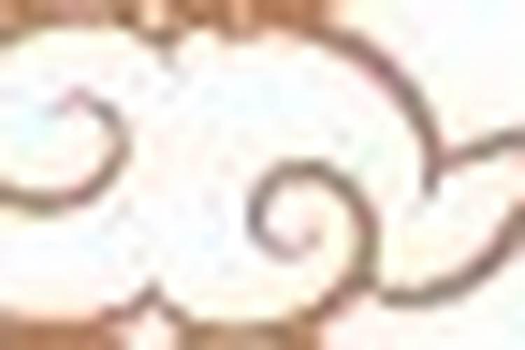 9月初九出生的人是什么命