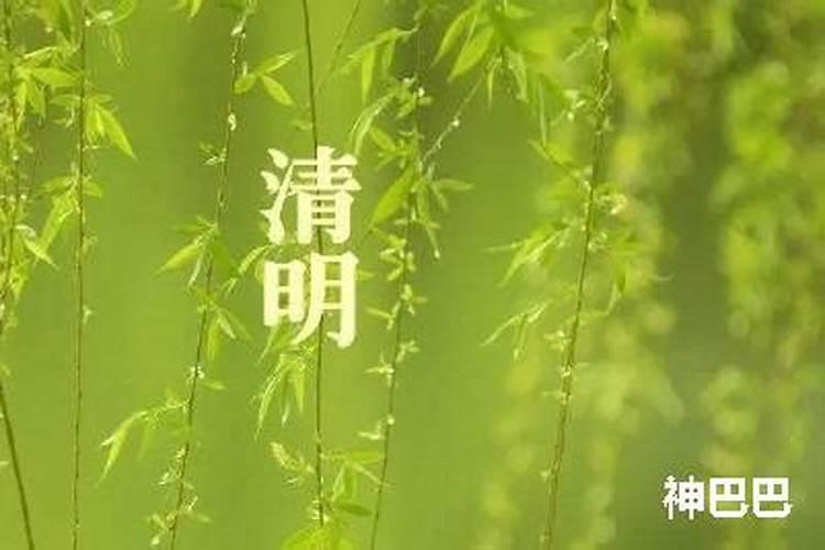 清明节是怎么定的是哪一天