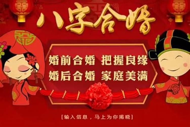 八字每日运势分析,八字运势 详细分析？