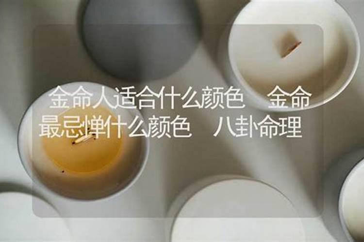 猴和兔子的属相合不合