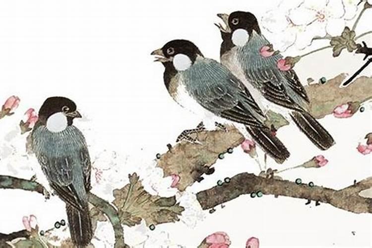 属虎的可不可以在本命年结婚,爱情与婚姻分析？