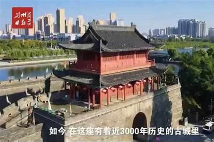 属狗人2025年全年运势
