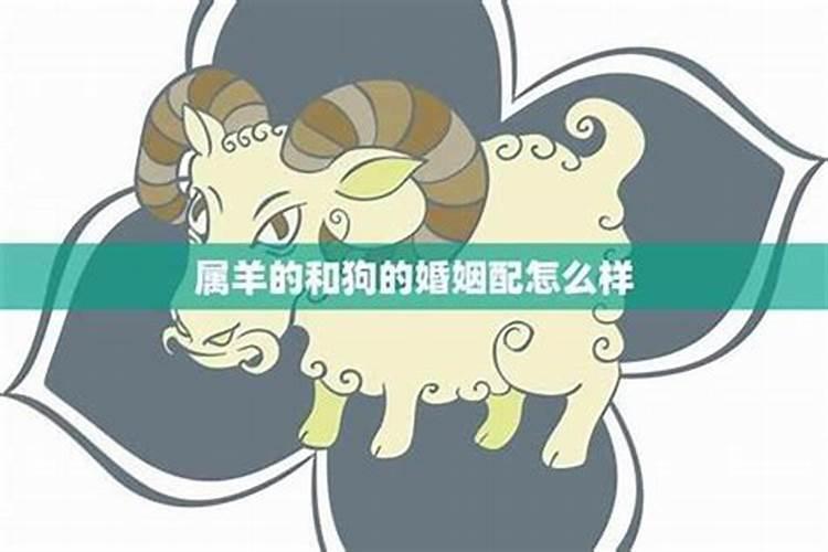 丑辰未戌哪个财库最大 丑辰未戌四大财库的人财运分析