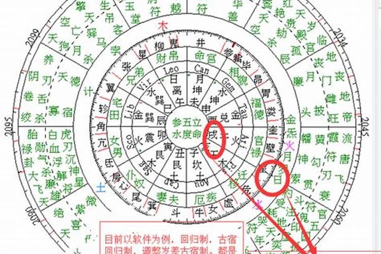 属猪的2025年犯太岁吗
