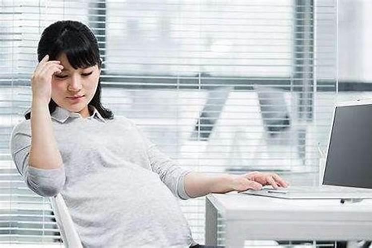 属猪的人犯太岁一览表,属猪人犯太岁年份