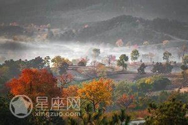 食神坐冠带什么意思