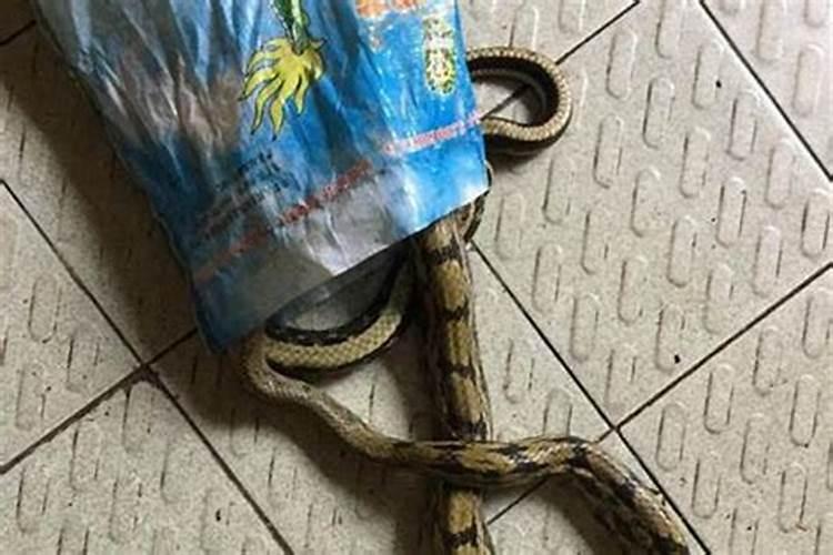 犯太岁可不可以以搬家乔迁新居