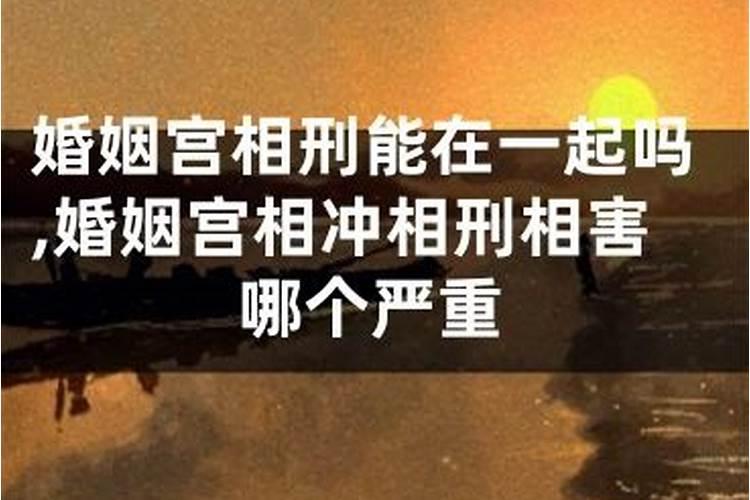 87年的兔今年财运怎么样