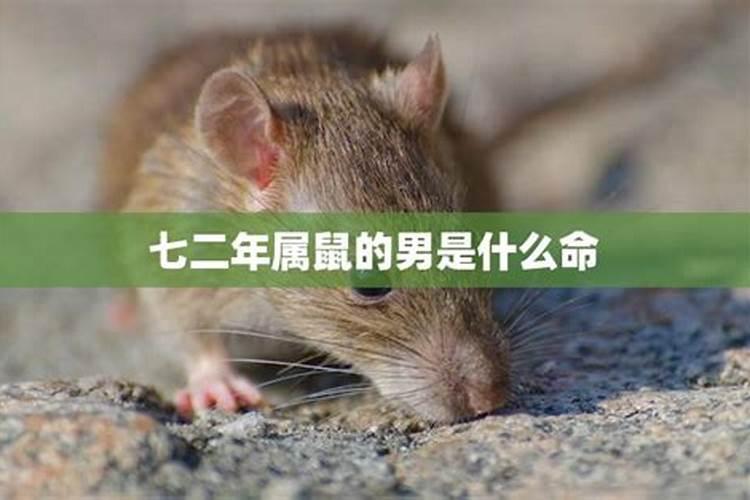 七二年鼠到底是木命还是水命