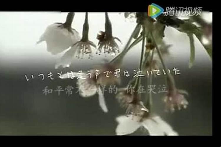 2001年属蛇人2024年运势及运程