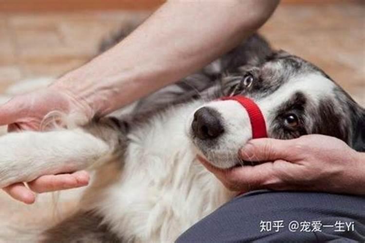八字婚配 两个桑松木命做夫妻合财吗？
