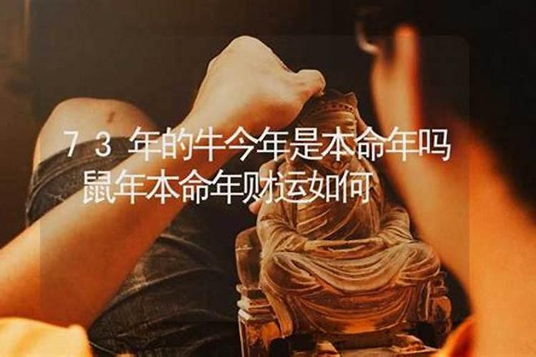 属猴2025年犯太岁吗