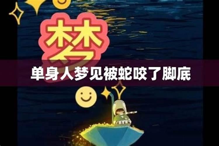 梦见蛇是什么预兆男人