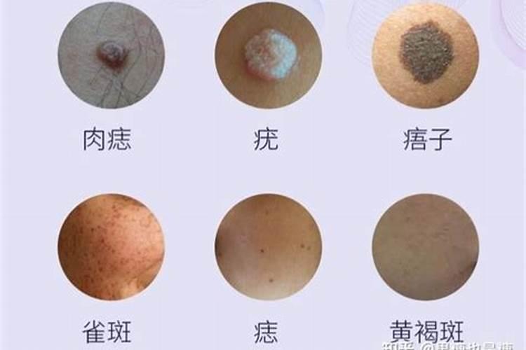 2025年属兔的人的全年运势