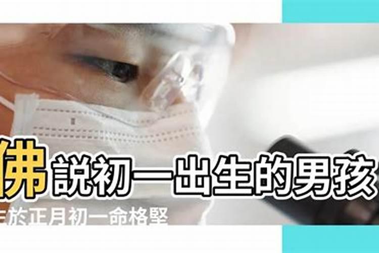 冬至到底吃饺子还是汤圆