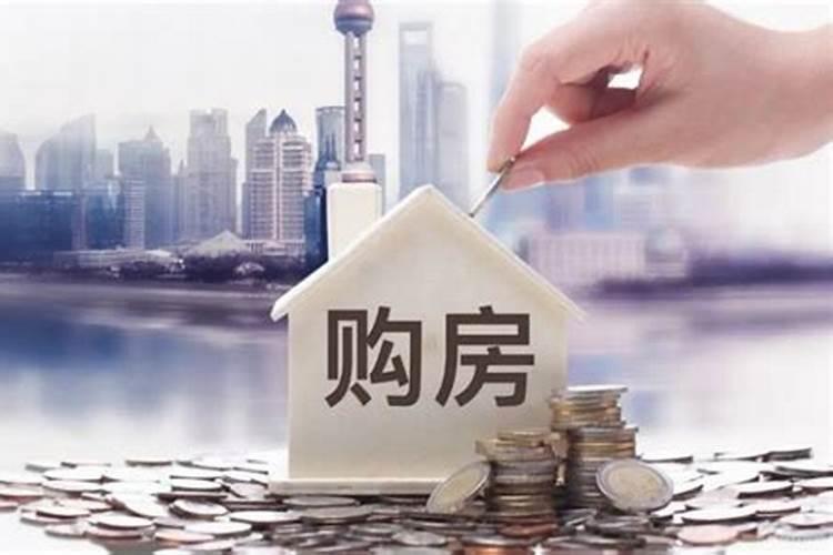 生肖兔2025年运势及运程如何