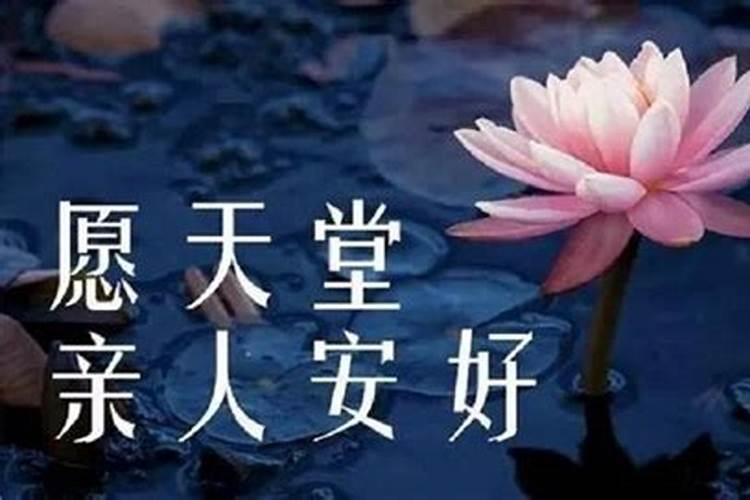 67年属羊人2025年全年运势详解