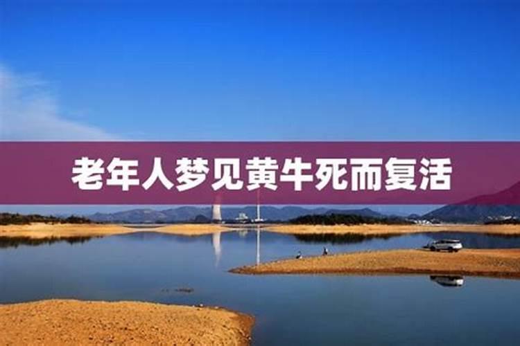 梦见在世的爸爸死而复生的预兆