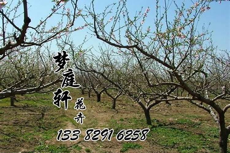 梦见妻子和朋友出轨什么意思？