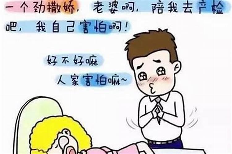 2025年属狗人全年运势1970