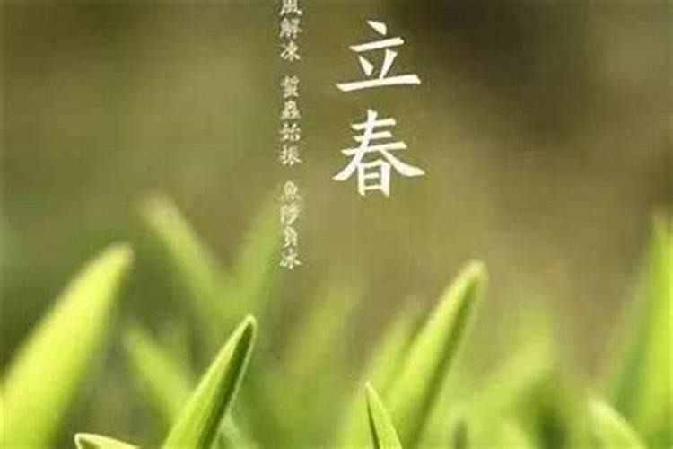 2025年的立春是几月几日