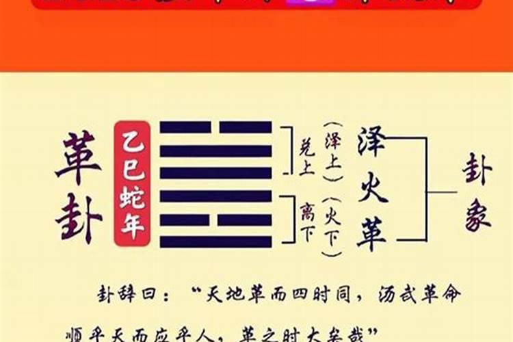 十二生肖申