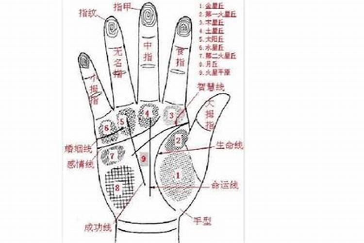 黄道吉日冲属相怎么办