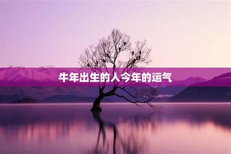 属鸡人几岁