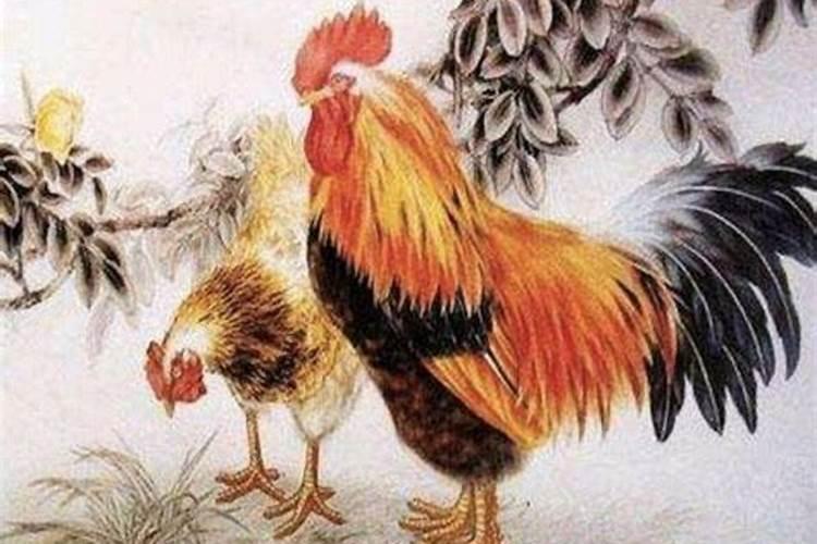 67年的羊和69年的鸡有什么相生相克的.