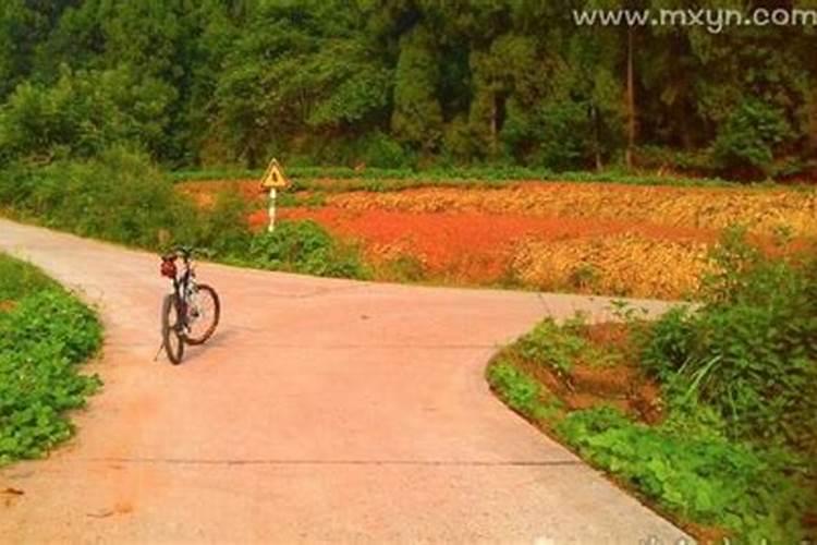 做梦骑自行车回家走错路,还遇到下大雨,求高人解梦