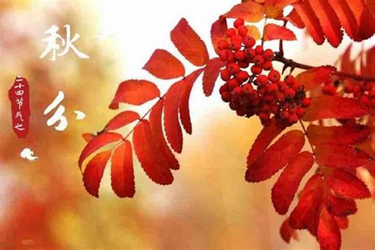 秋分节气传统习俗有哪些