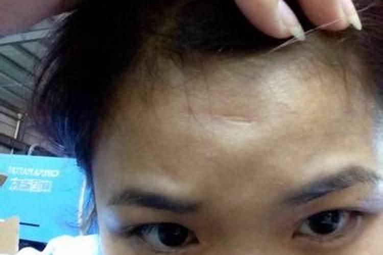 麦玲玲2025生肖马