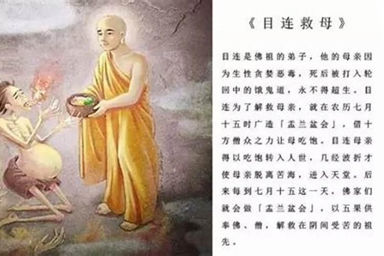 83年属猪2025全年运势