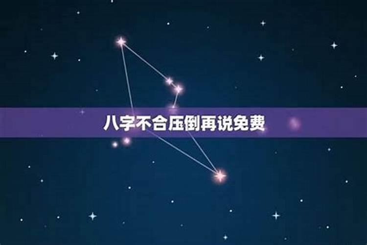 属猪的和什么属相最配最合适呢