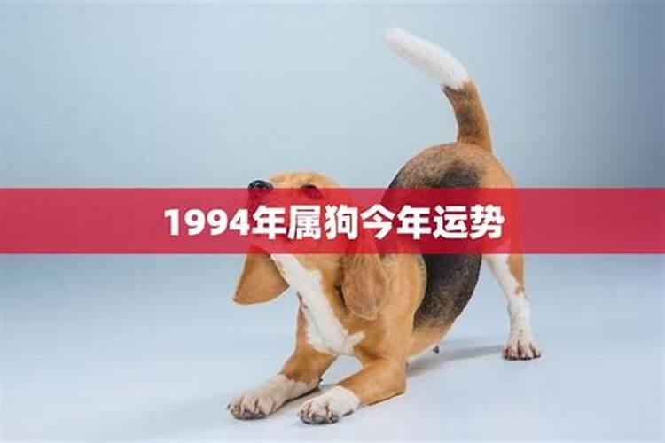 春节是怎么来的？